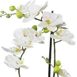 Creativ green Phalaenopsis 3D-print im Keramiktopf, 42cm, weiß, Real Touch