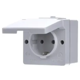 Jung SCHUKO-Steckdose 16A 250V 620 WX