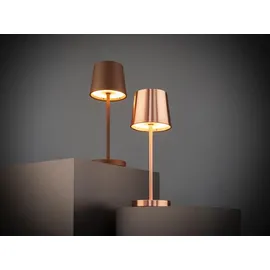 APS MERLE MINI Braun