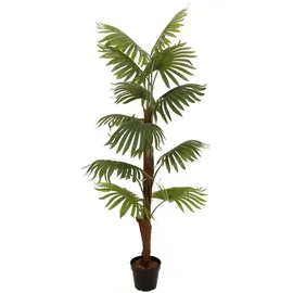 Europalms Fächerpalme, Kunstpflanze, 155cm