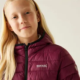 Regatta Marizion Baffle-Jacke Dunkelrot 164