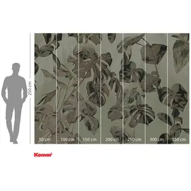 KOMAR Fototapete Tresor (B x H: 350 x 250 cm, Vlies