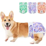 BELLA & PAL Hundewindeln für Hündinnen, 3 Stück Wiederverwendbare Hundewindeln, Läufigkeitshose für Hündinne, Hochsaugfähige Größenverstellbar, Hundehöschen für kleine und Mittelgroße Hund, L