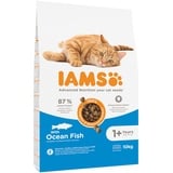 Iams Katzenfutter trocken