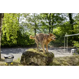 Kärcher Waschbürste 2.644-421.0