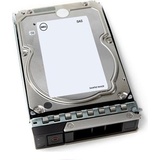Dell 401-ABHX Interne Festplatte 3.5" 12 TB SAS