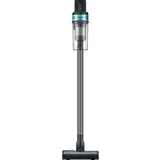 Samsung Jet 75E Pet VS20B75AGR1