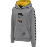 hummel hmlHARRY POTTER CUATRO Hoodie Kinder 2800 medium melange 110