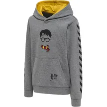 hummel hmlHARRY POTTER CUATRO Hoodie Kinder 2800 medium melange 110