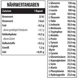 MST 21 Aminosäuren Kapseln 200 g