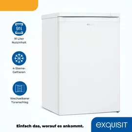 GGV Exquisit Exquisit Gefrierschrank, Tiefkühlschrank, 4-Sterne-Gefrieren, 91 Liter, Gefrierschrank klein, GS512-040E weiss