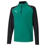Puma Teamliga Pepper Green/Puma Black 140