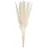 BUTLERS Trockenblumen, FLOWER Market- Pampasgras in Beige, | Gr.: onesize