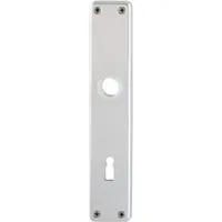 HOPPE ZT-Langschild London,202SP,BB,E72 sichtbar verschraubt neusilberfarben eloxiert