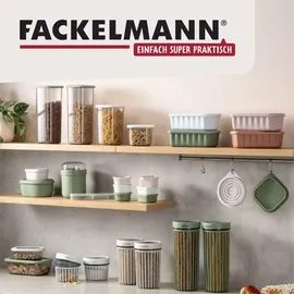 Fackelmann Snacking-Boxen eckig 3-teilig beige/grün/grau/hellblau
