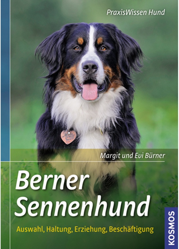 Berner Sennenhund - Margit Bürner, Evi Bürner, Kartoniert (TB)