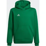 Adidas Entrada 22 Sweat Hoodie, Team Green/White, 128