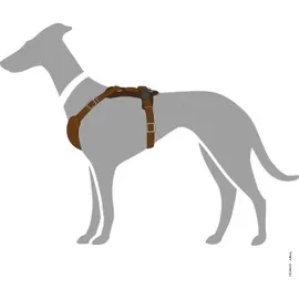 Hunter Aalborg Hundehalsband Braun XS