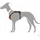 Hunter Aalborg Hundehalsband Braun XS