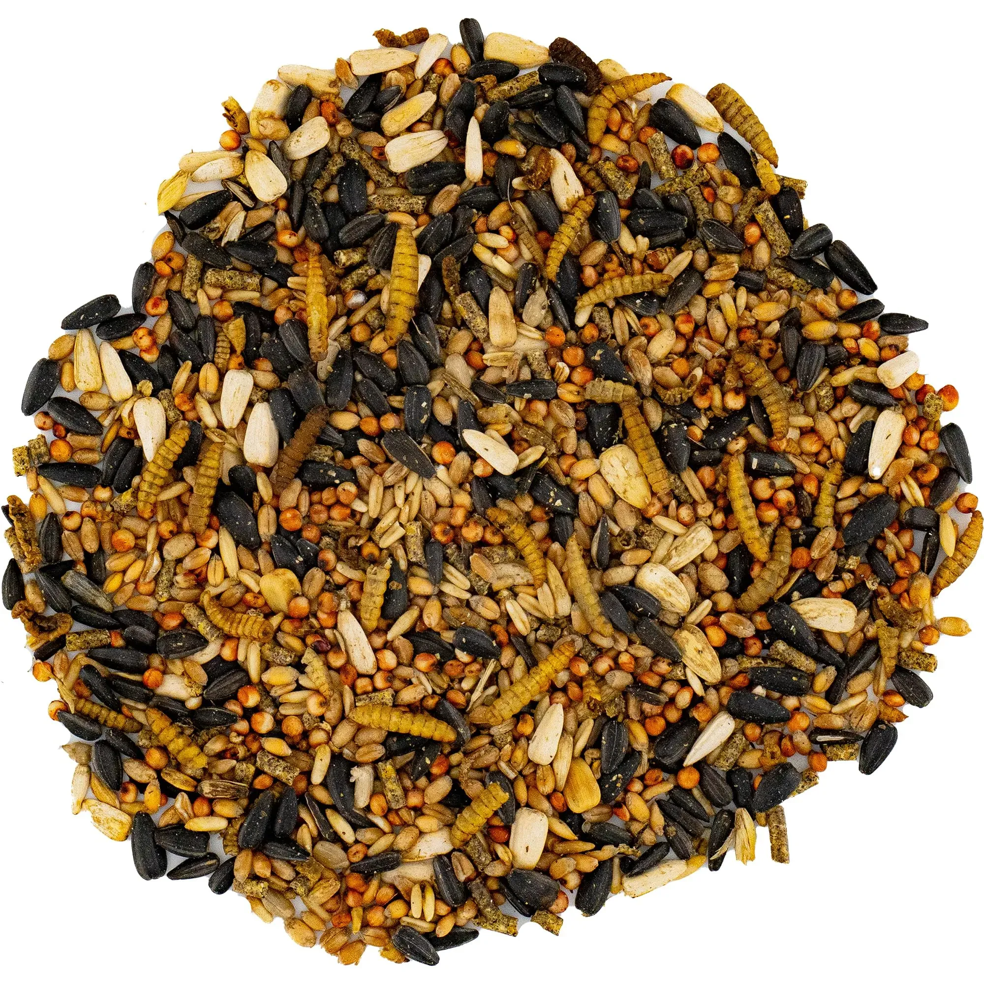 soldatenfliegenlarven 5kg