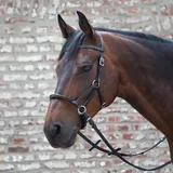 Waldhausen Linda Tellington Jones Lindel Warmblut,