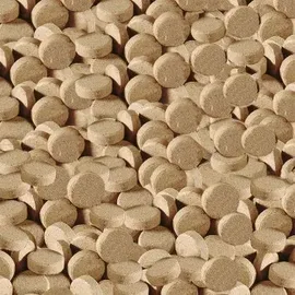 Sera O-Nip Stickies (62 g)