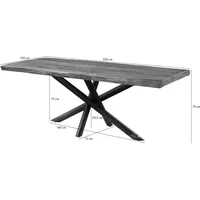 MASSIVMOEBEL24.DE Baumtisch Mango 200x100x76 grau lackiert / Mikado-Beine anthrazit