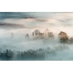 Fototapete PAPERMOON "Photo-Art MARCO GALIMBERTI, WINTERNEBEL", bunt, B:4,50m L:2,80m, Vlies, Tapeten