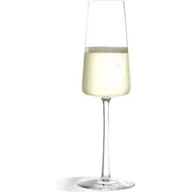Stölzle Power Champagnerglas 0,24 l 6er Set