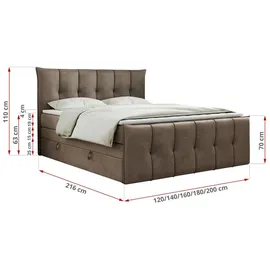 MKS Meble Boxspringbett 200 x 200 cm H4 Braun