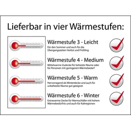 VitaSchlaf CANADA SCHNEEGÄNSE W6 - EXTRA WARM 100% Gänseflaum- DAUNENDECKE Germany Since 1947 (200x220cm)