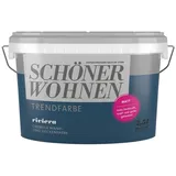 Schöner Wohnen Trendfarbe 2,5 l riviera matt