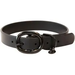 Hundehalsband aus Gummi Kentucky SCHWARZ|SCHWARZ|SCHWARZ XS