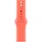 Apple Watch Sportarmband
