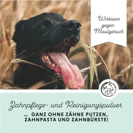 Annimally Oral Vital Zahnpflege Pulver für Hunde 100 g