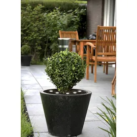 EGLO 900117 SPINETOLI 2 transparent L:690cm H:1cm mit Kabel+Stecker IP65 3000K