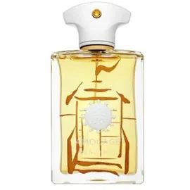 Amouage Beach Hut Eau de Parfum 100 ml