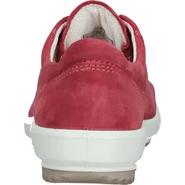 Legero Tanaro 5.0 Dark Raspberry 37,5