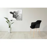 Kayoom Stuhl Chester, 4er-Set, schwarz