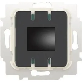Busch-Jaeger Raumtemperaturregler 1099 UHKTA-BT