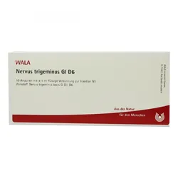 Nervus Trigeminus Gl D6 Ampullen
