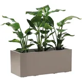 XXXLutz Xxxl Blumenkasten Taupe, Kunststoff, 99.5x39.5x39.5 cm, stabil, wetterbeständig, UV-beständig, Gartenzubehör, Blumentöpfe