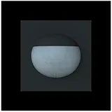 Busch-Jaeger Busch-Wächter 180 flex 64764-45M