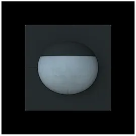 Busch-Jaeger Busch-Wächter 180 flex 64764-45M