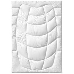 Kauffmann Cashmere Bettdecke leicht - 155x220cm
