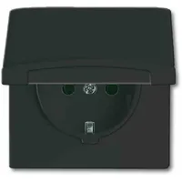 Busch-Jaeger Steckdoseneinsatz 1f 0 m Schwarz 1 St.