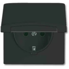 Busch-Jaeger Steckdoseneinsatz 1f 0 m Schwarz 1 St.