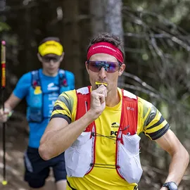 Powerbar PowerGel Mango-Passionfruit mit Koffein Riegel 24 x 41 g