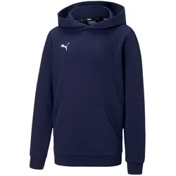 Puma teamGOAL 23 Casuals Hoodie Kinder - navy-128