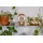 HERMLE 23015-160721 Moderne Skelett-Tischuhr, Kirschbaum Braun, 18cm x 9cm x 11cm